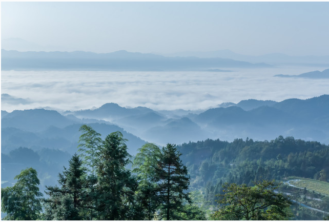 1569468218209423.png image.png